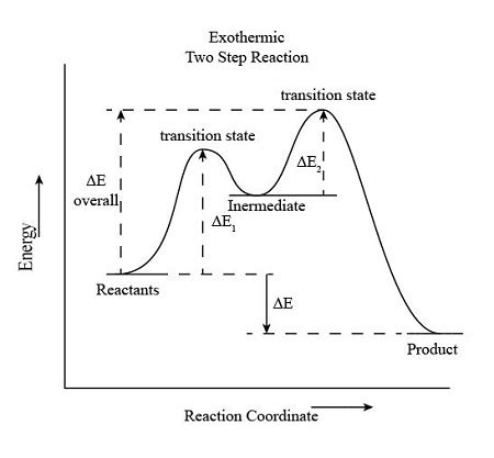 Endothermic And Exothermic Reaction Graph