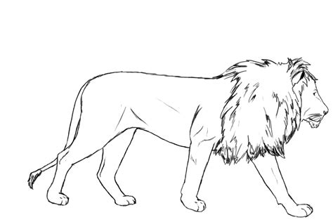 Search for Lion drawing at GetDrawings.com