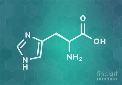 Histidine Amino Acid Molecule Photograph by Molekuul/science Photo ...