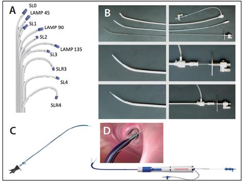 Transseptal Puncture: A Step-by-Step Procedural Guide - Cardiac Interventions Today