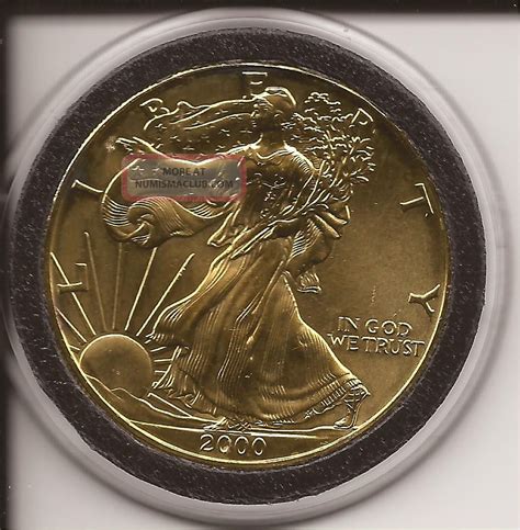 2000 American Eagle Walking Liberty 1 Oz Fine Silver Dollar Coin In Gold