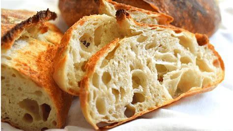 Open Crumb Rustic Bread Recipe with Biga :The Best Homemade Artisan ...