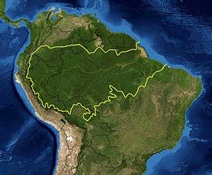 User:Amazonien - Wikipedia, the free encyclopedia