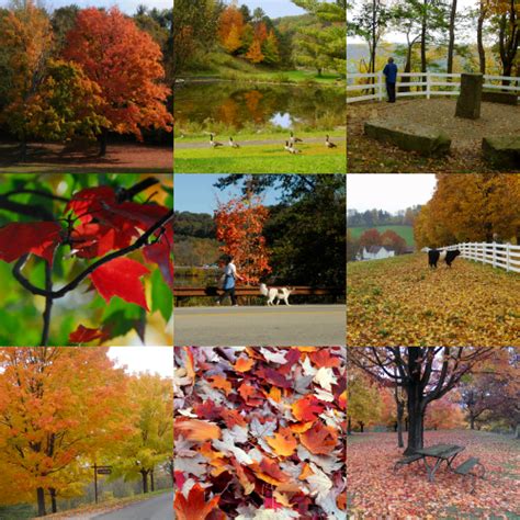 The Allegheny County Parks schedule for October 30-November 23 has just ...