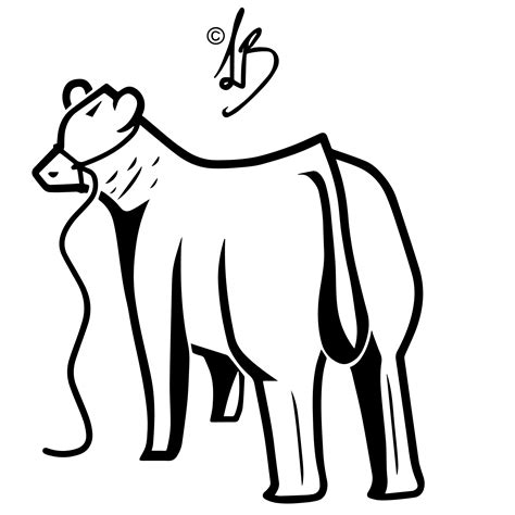 Show Steer Silhouette at GetDrawings | Free download