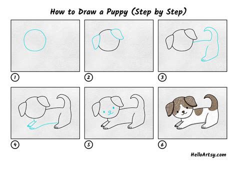 Dog Drawing Step By Step