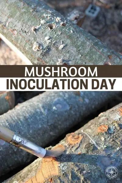 Mushroom Inoculation Day