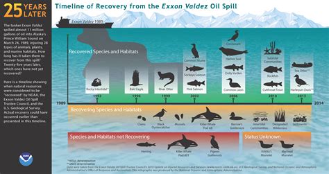 Exxon Valdez Oil Spill Anniversary: Effects, Facts, Pictures, Captain's ...