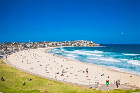 18,482 Bondi Royalty-Free Images, Stock Photos & Pictures | Shutterstock