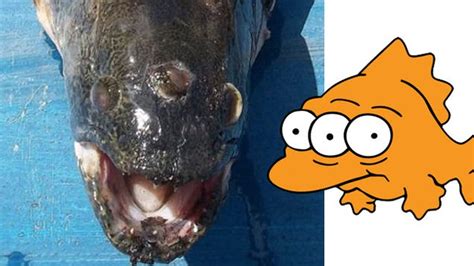 The Simpsons Called It: Three Eyed Fish Caught Outside a Nuclear Power ...