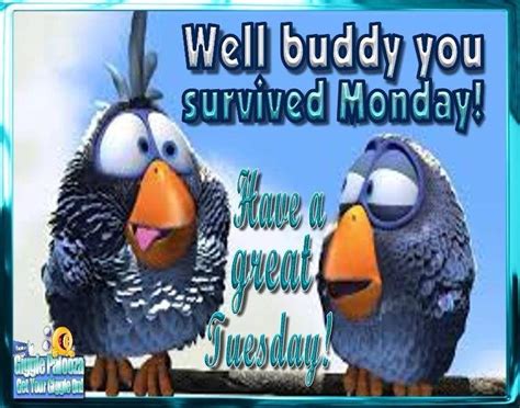 You Survived Monday Have A Great Tuesday | Tuesday quotes funny, Tuesday quotes, Tuesday humor