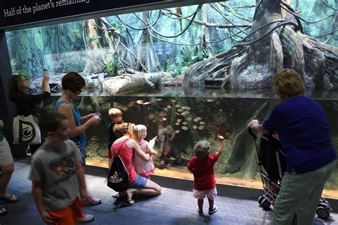 Carolina SciQuarium Opening Day | The Greensboro Science Cen… | Flickr