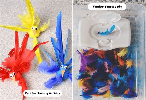 12 Fabulous Feather Activities - Teaching Expertise