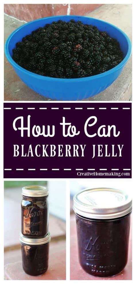 Canning Blackberry Jelly: A Beginner's Guide - Creative Homemaking