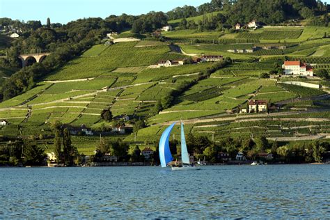 File:Lake Geneva Lavaux.jpg - Wikipedia, the free encyclopedia