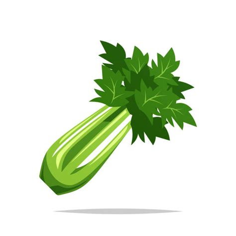 Celery Cartoon Illustrations, Royalty-Free Vector Graphics & Clip Art - iStock