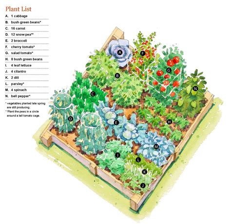 Vegetable Garden Drawing Sketch - Ryn Rynfrank | Bohoadwasunt Wallpaper