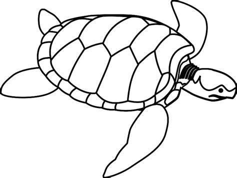 Turtle Outline Clip Art at Clker.com - vector clip art online, royalty ...