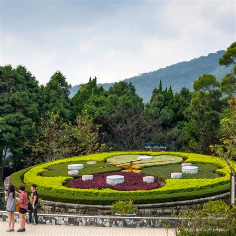 Yangmingshan National Park Hot Spring | Taiwan Half Day Tour