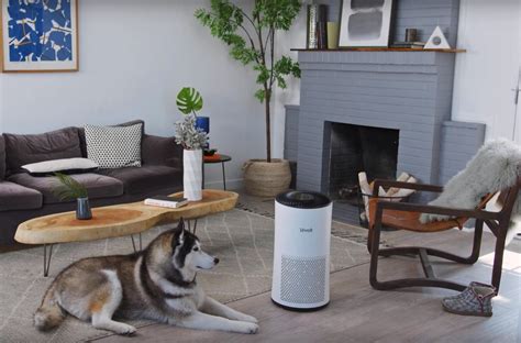 6 Best Air Purifiers for Allergies Reviewed in Detail (Winter 2024)