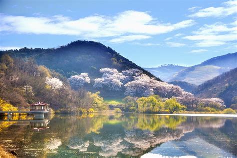 대한민국 풍경 한국 · Pixabay의 무료 사진
