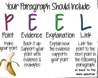 How to Write a PEEL Paragraph Essay: With Examples