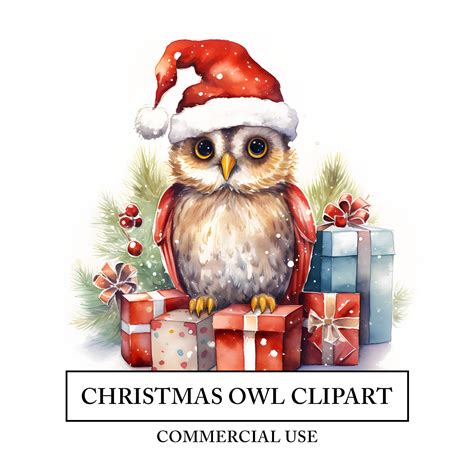 Christmas Owl Clipart 12 High Quality Jpgs Watercolor Santa Claus Art ...