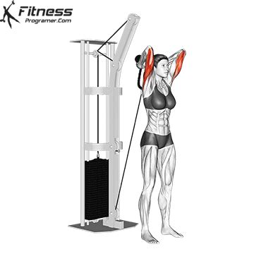 How To: Cable Rope Overhead Triceps Extension