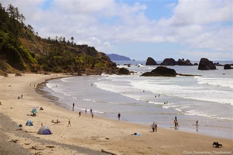 Must-See Cannon Beach: Your Day Trip to Ecola State Park, Oregon Begins ...