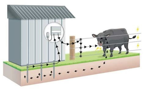 Understanding Electric Fencing