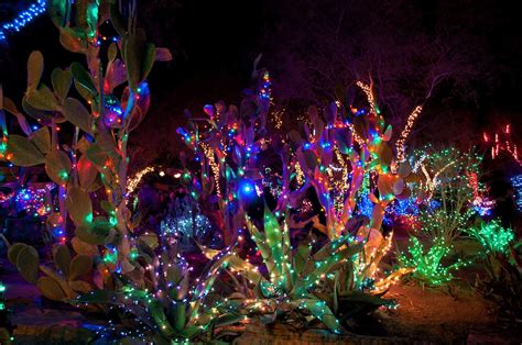 Where to See the Best Christmas Lights in Las Vegas This Year