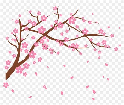 Cherry Blossom Clip Art - Cherry Blossoms Falling Transparent - Free ...