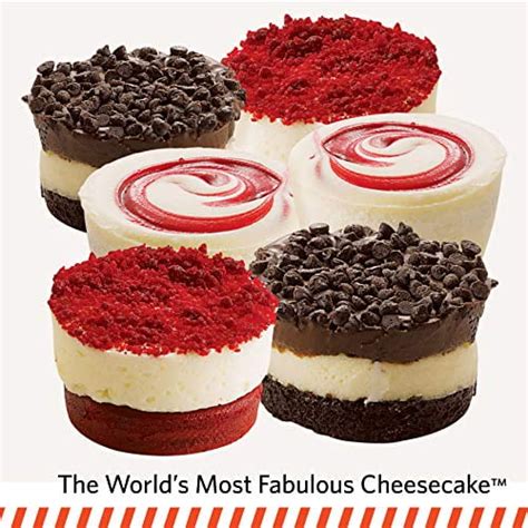 Junior's Cheesecake Little Fellas Mini Cheesecake Sampler (18 Mini ...