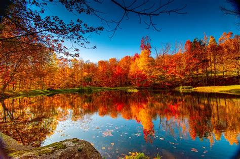 Follow These Simple Tips for Beautiful Fall Photography