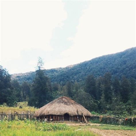 Honai is the traditional house of Papua tribes who live in the central highland of Papua.