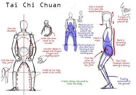 The Importance of Body Alignment and Structure