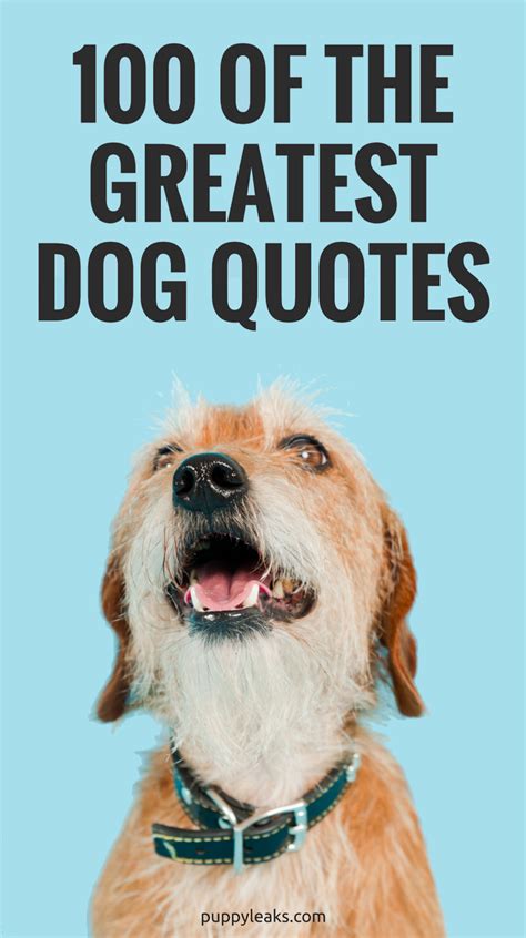 100 of the Best Dog Quotes - Puppy Leaks