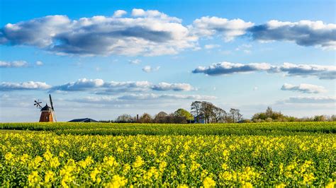 Bjerre windmill, Stenderup, Denmark - Landscape photography Photograph ...