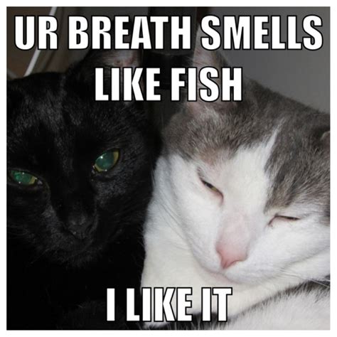 Ur Breath smells like fish. I like it. | BOOMSbeat