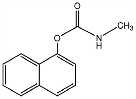 Structure of Carbaryl (insecticide carbamate). | Download Scientific ...