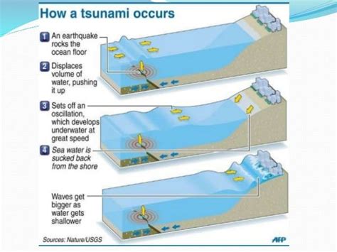 Tsunami Notes