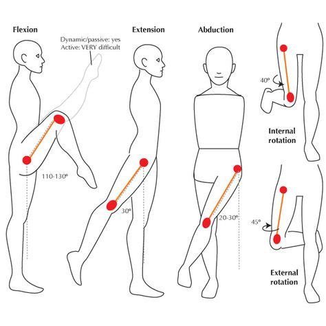 7 Joint range of motion ideas | range of motion, massage therapy, physical therapy