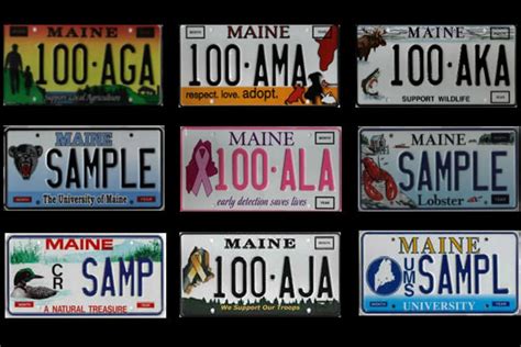 Which Maine Specialty License Plate Is the Most Popular? Here's How They Rank By Sales