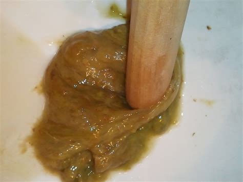 Benign Causes of Greasy Oily Stools » Scary Symptoms