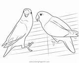 Love Bird Coloring Page For Kids  Free Parrots Printable sketch template