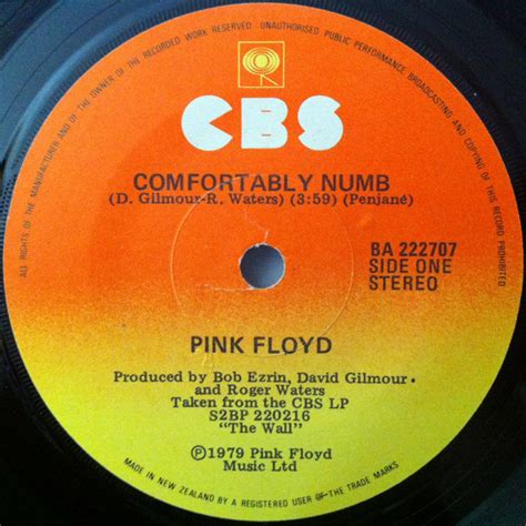 Pink Floyd – Comfortably Numb (1980, Vinyl) - Discogs