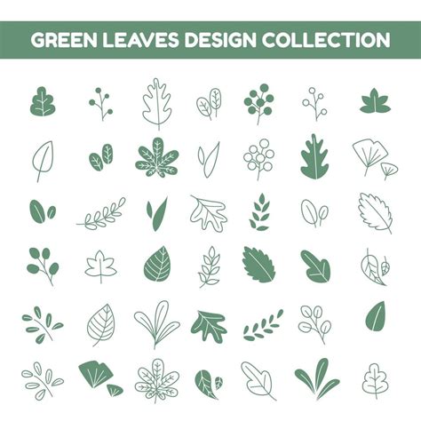 Green Leaves Design Collection 14554717 Vector Art at Vecteezy