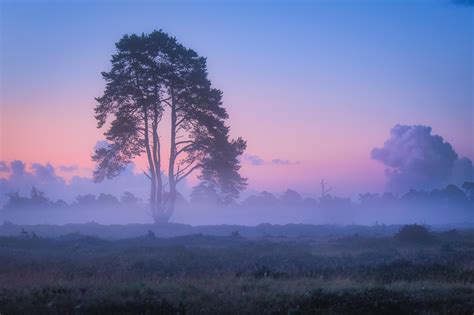 Interesting Photo of the Day: Foggy Pastel Sunrise