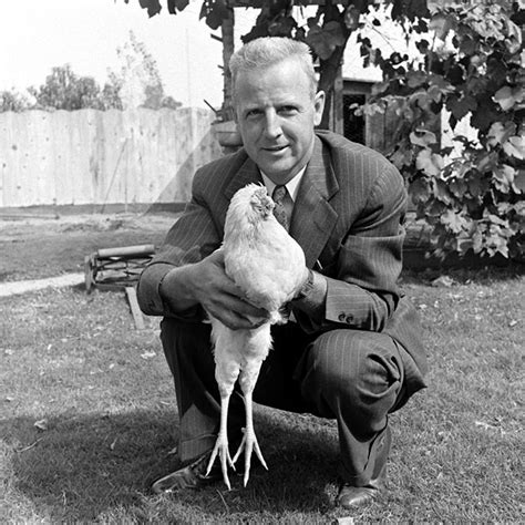 Mike the Headless Chicken - Lived 18 months without a head!