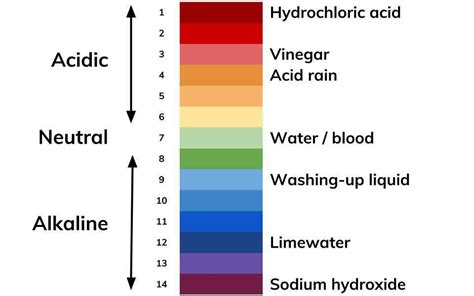 Sodium Hydroxide On Ph Scale | XX Photoz Site